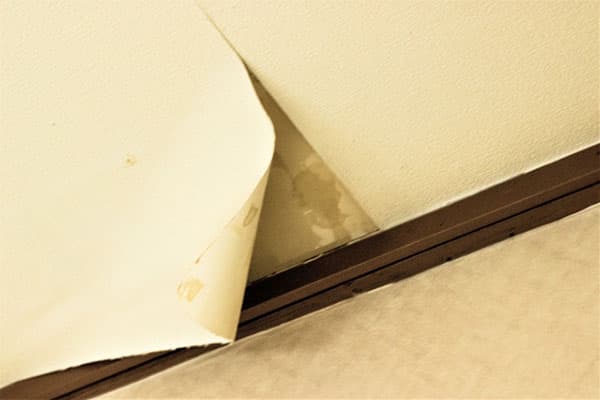 雨漏りの初期症状：クロスの剥が